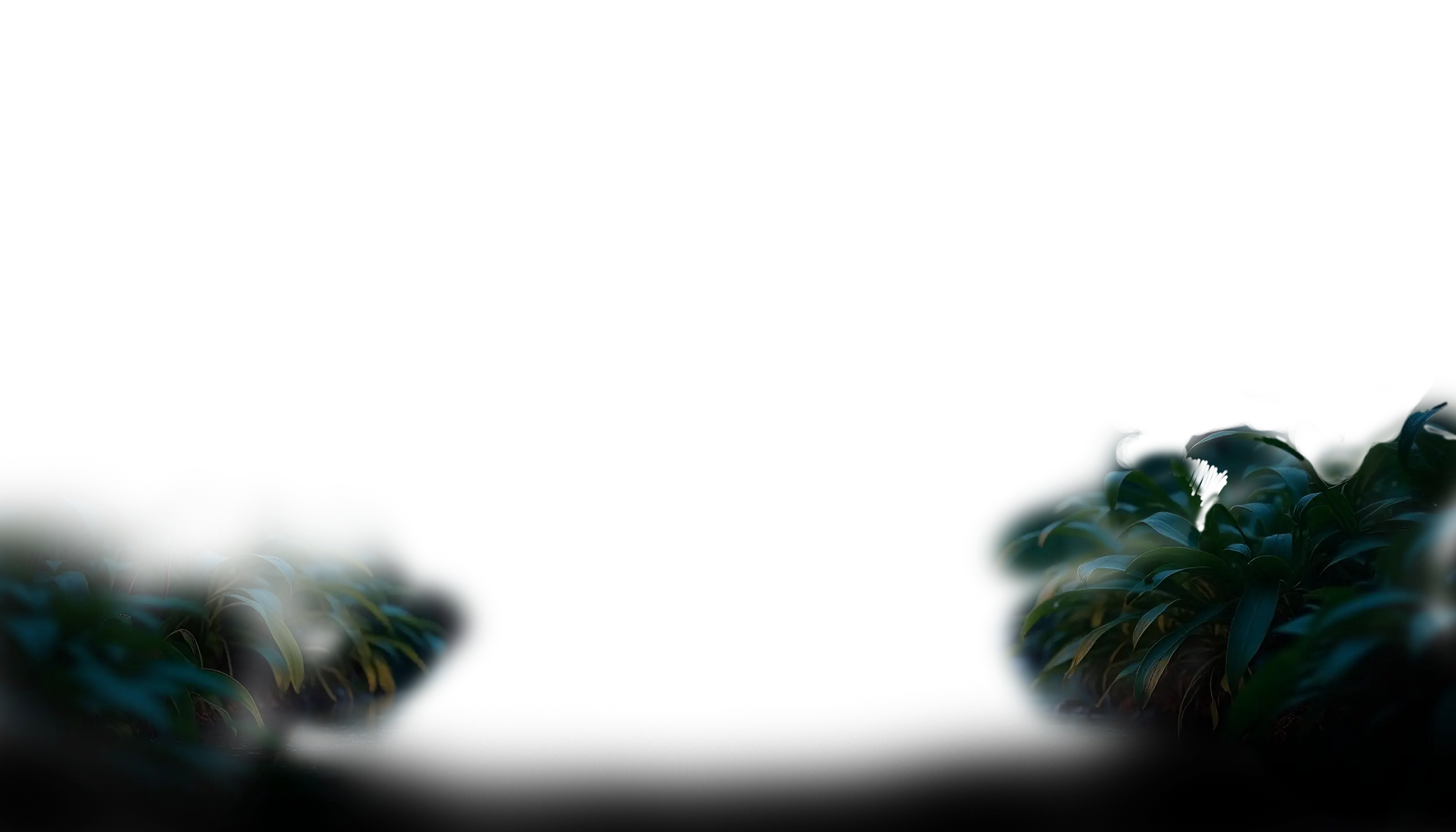 prod-ginger-foreground